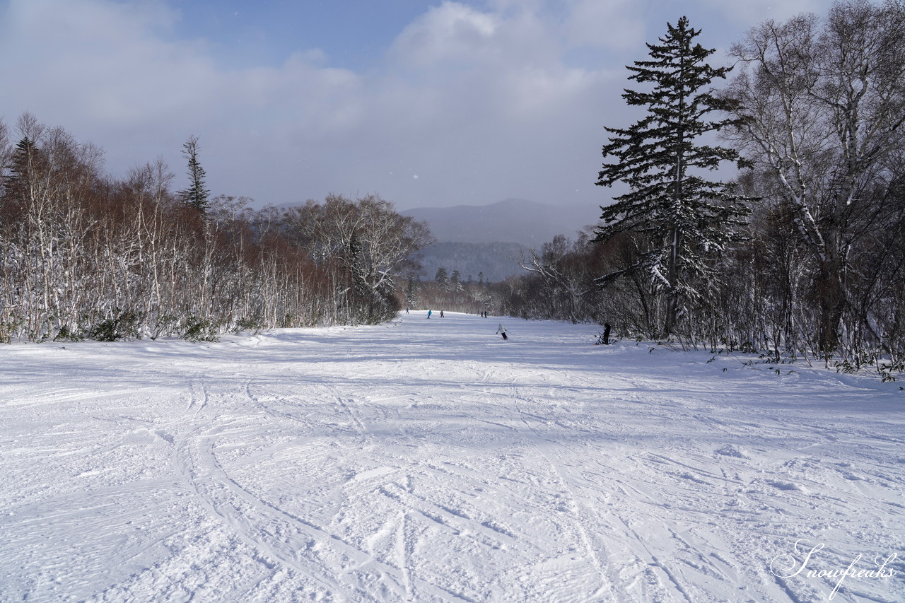 札幌国際スキー場 これぞ北海道。粉雪が降り積もったゲレンデはコンディション良好！そして、早くも全コース滑走可能です(*^^)v